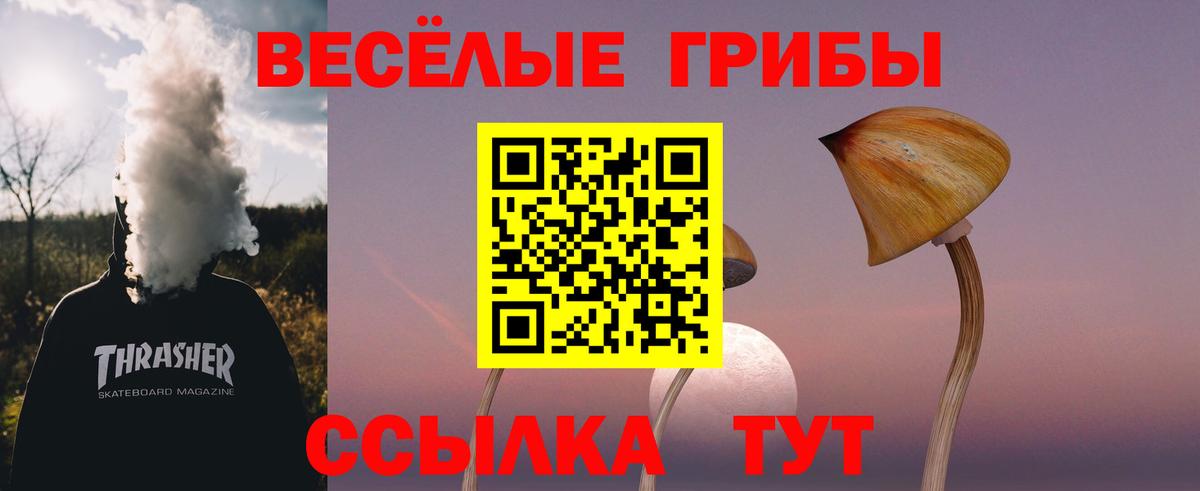 Галлюциногенные грибы мицелий Великий Новгород